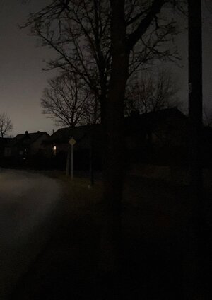Symbolbild f�r ausgefallene Stra�enlampen - man sieht nur eine Stra�e  B�ume im Halbduckeln und ein leicht beleuchtetes Fenster.