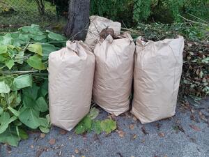 Braune Gartenm�lls�cke und geb�ndelte Zweige liegen am Stra�enrand.